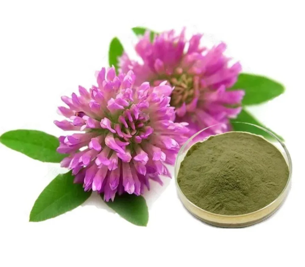 Hormone Balance Cream Active Ingredients and Benefits